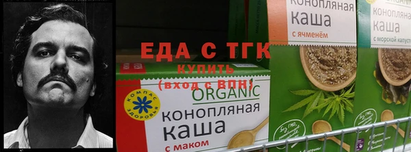 mdpv Алзамай