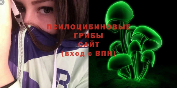 ПСИЛОЦИБИНОВЫЕ ГРИБЫ Алексеевка