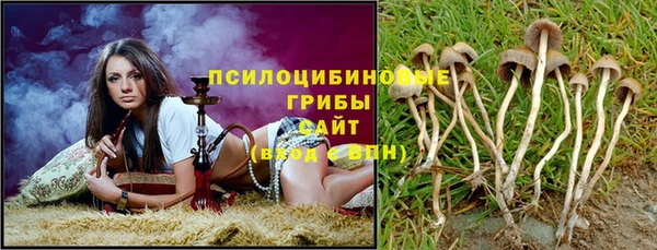 ПСИЛОЦИБИНОВЫЕ ГРИБЫ Алексеевка