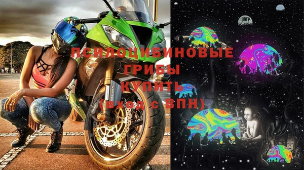 стафф Новодвинск