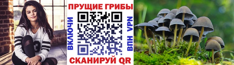 MEGA сайт  где купить наркоту  Люберцы  Галлюциногенные грибы мицелий 